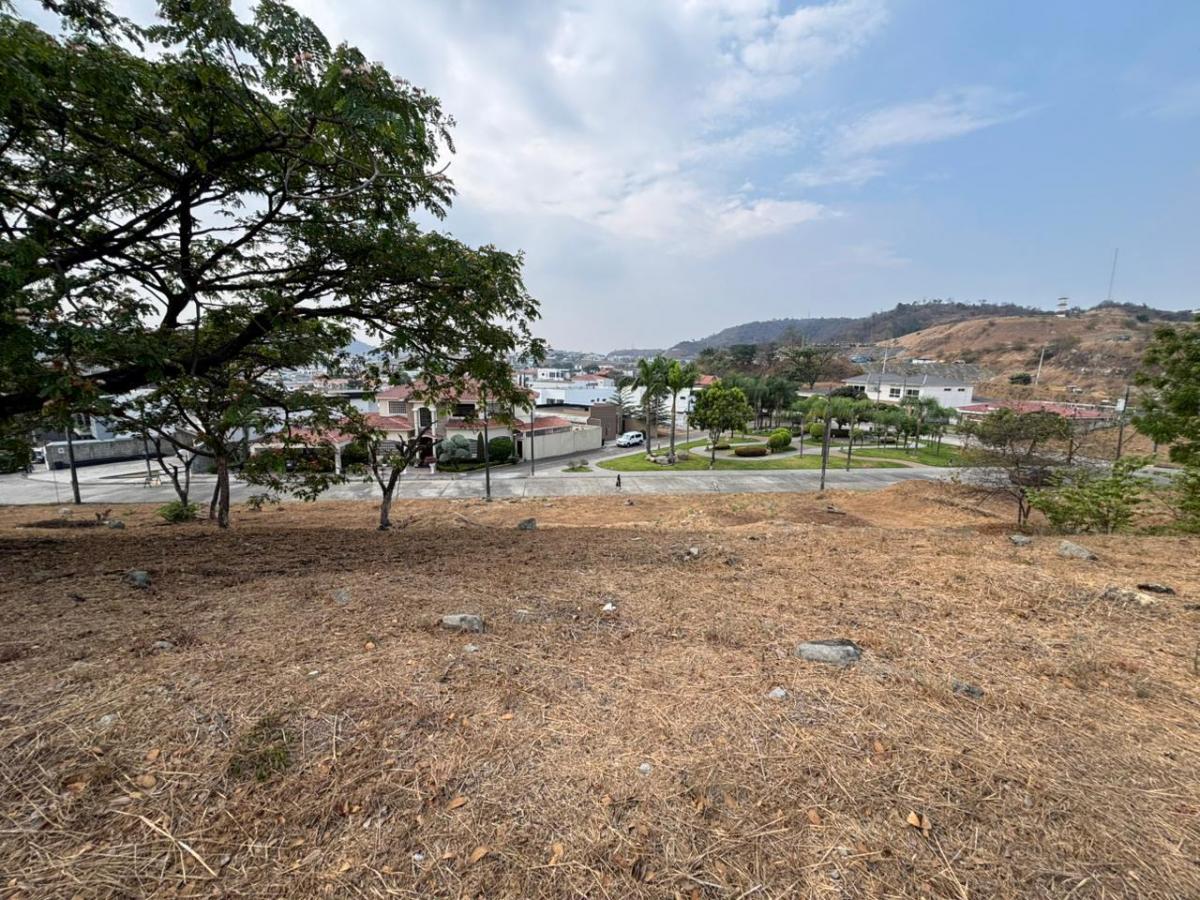 Venta Terreno Multifamiliar con Diseño Panorámico en Urbanización Vicolinci - I. Alarcón, Guayas — imagen 6