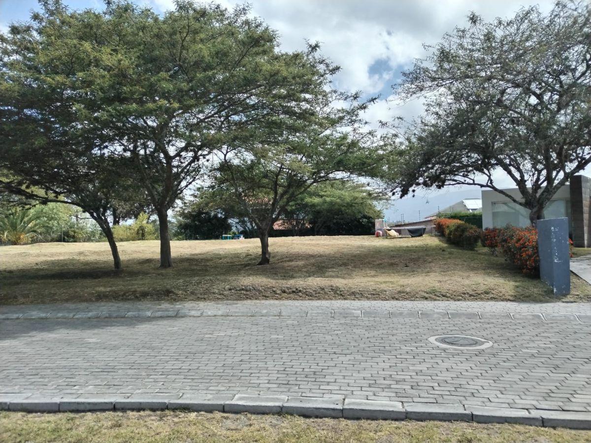 Hermoso Terreno Precio Excelente — imagen 8