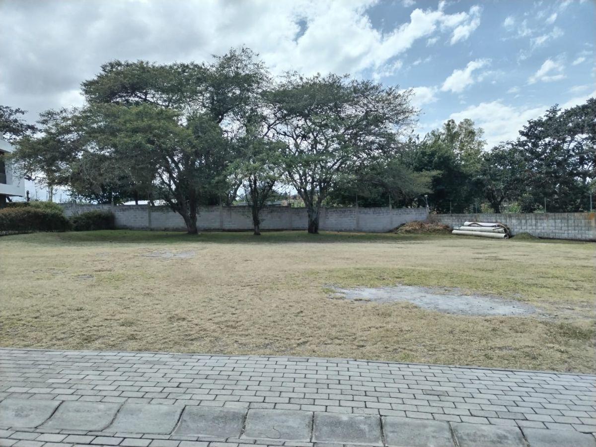 Hermoso Terreno Precio Excelente — imagen 7