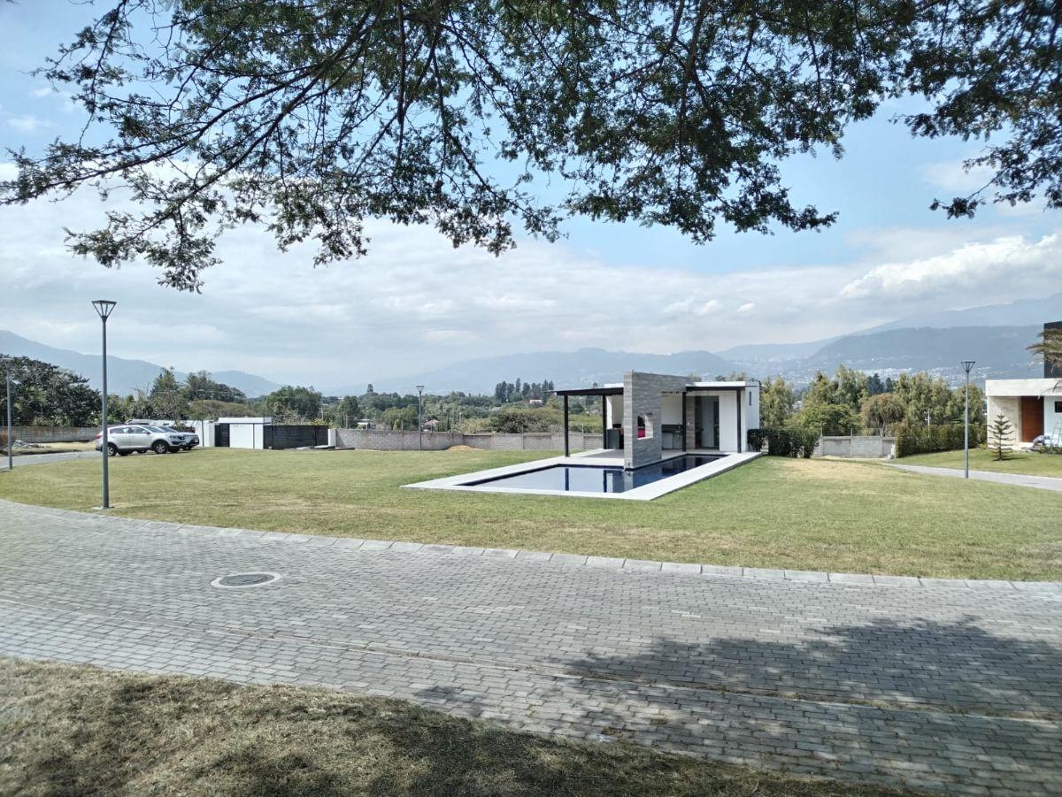 Hermoso Terreno Precio Excelente — imagen 4