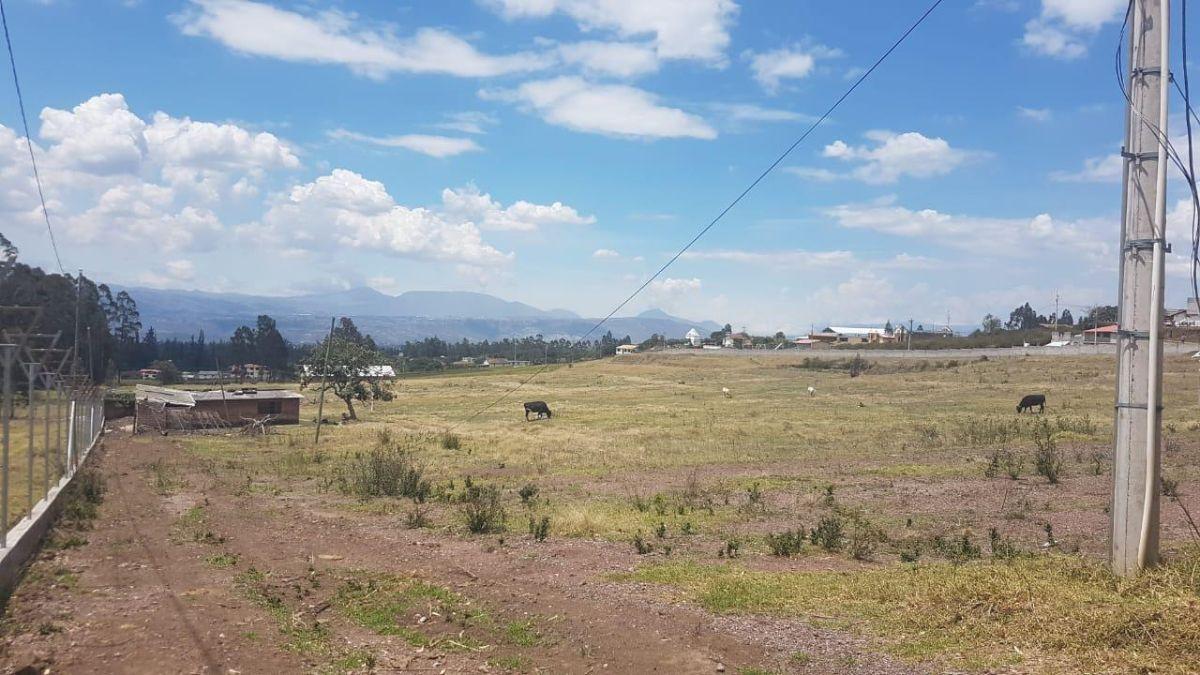 Terreno de 5 Héctareas de Venta en Yaruqui — imagen 8
