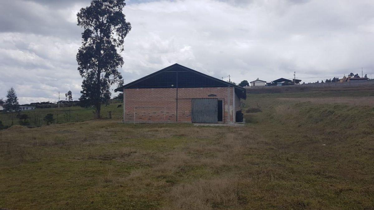 Terreno de 5 Héctareas de Venta en Yaruqui — imagen 7