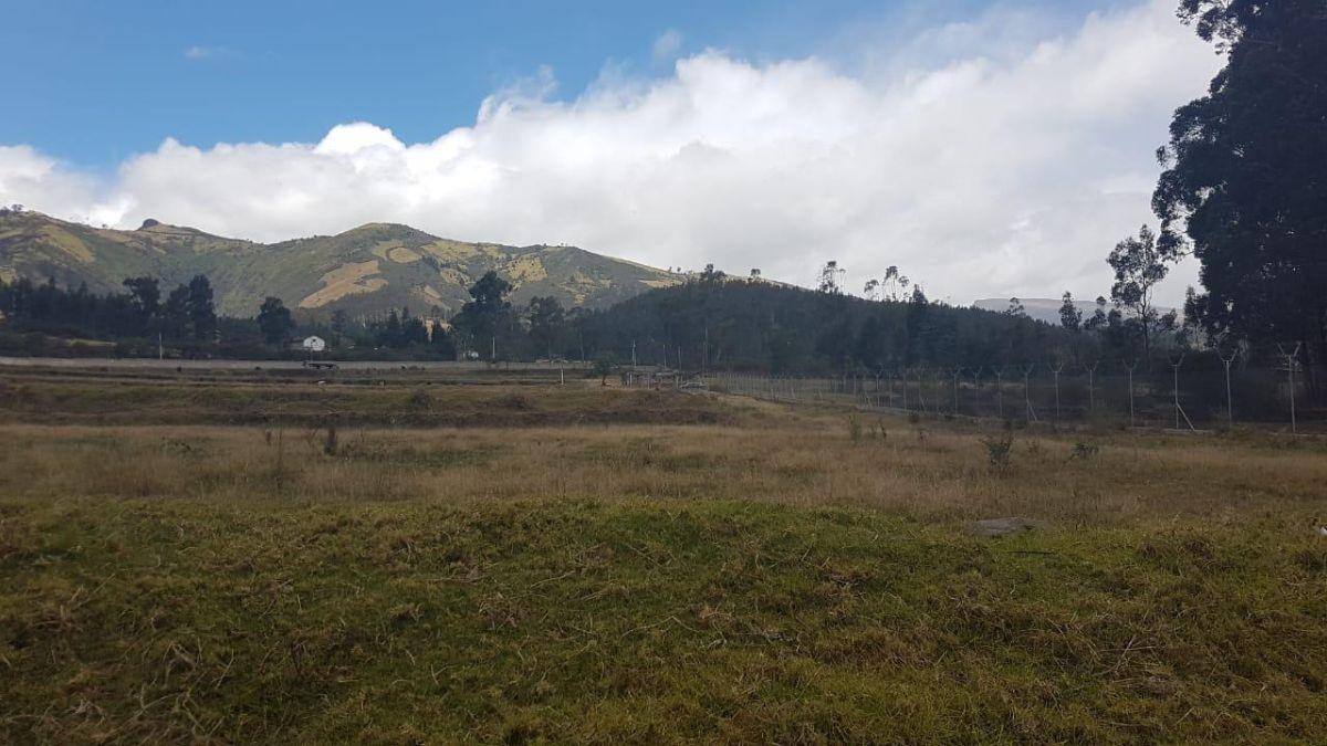 Terreno de 5 Héctareas de Venta en Yaruqui — imagen 4