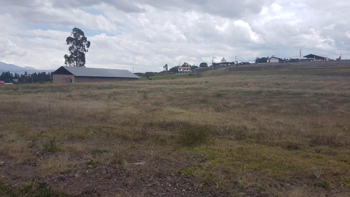 Venta de Terreno en Yaruqui de 5 Héctareas — imagen 7