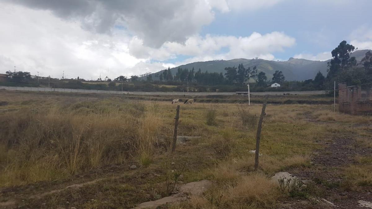 Venta de Terreno en Yaruqui de 5 Héctareas — imagen 4
