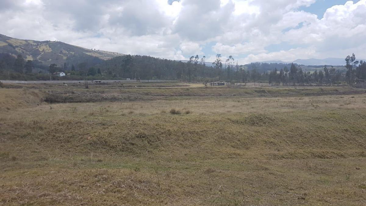 Venta de Terreno en Yaruqui de 5 Héctareas — imagen 3
