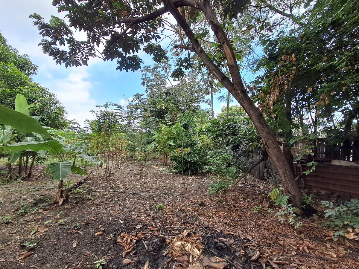Venta de Terreno Industrial 3900 m² Via a Daule Alto Impacto, Km 15, Guayas — imagen 6