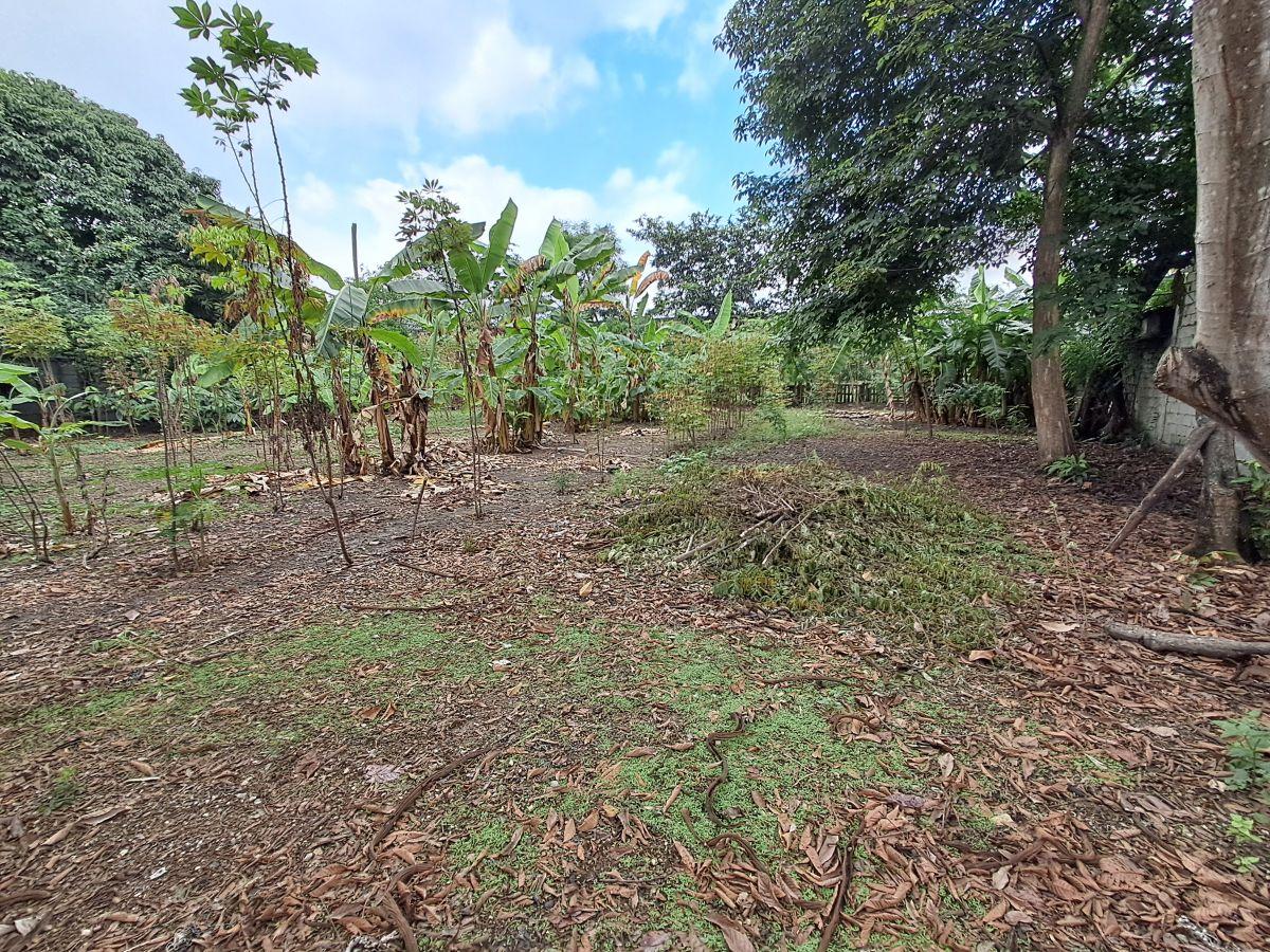 Venta de Terreno Industrial 3900 m² Via a Daule Alto Impacto, Km 15, Guayas — imagen 3