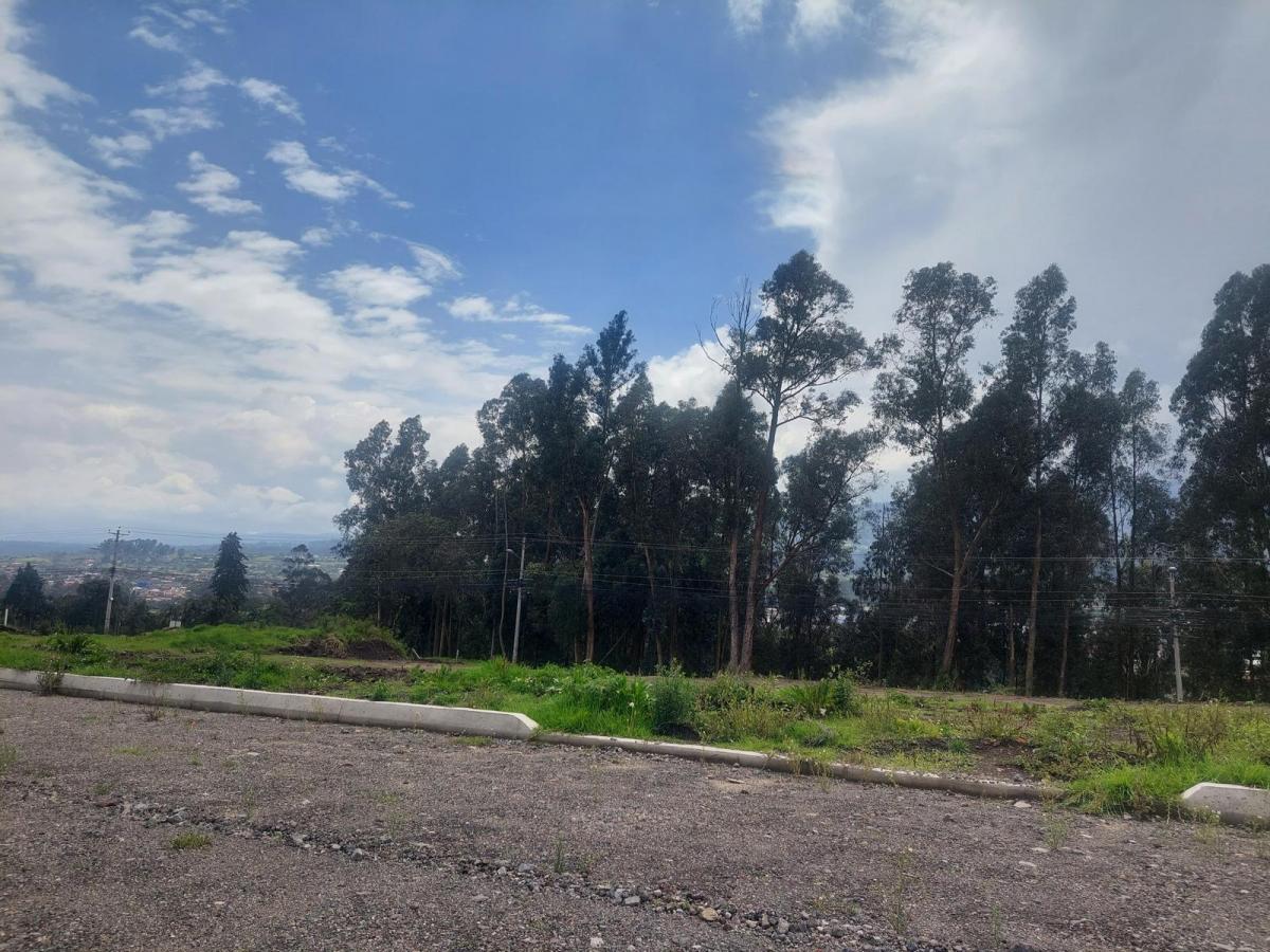 Venta Terrenos Lotización El Rosario — imagen 6