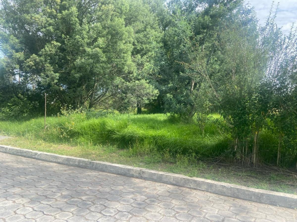 Terreno en Sangolqui Cerca Al Colibri — imagen 7