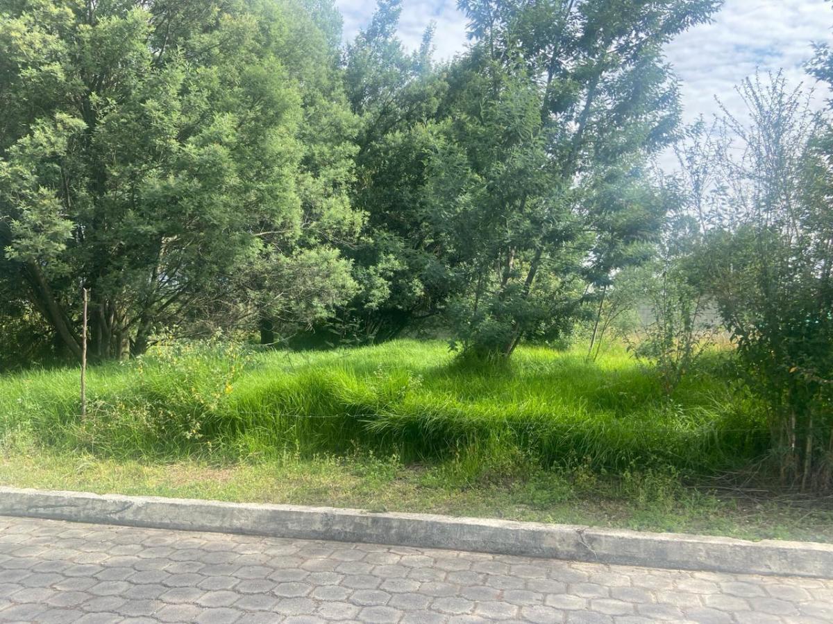 Terreno en Sangolqui Cerca Al Colibri — imagen 6