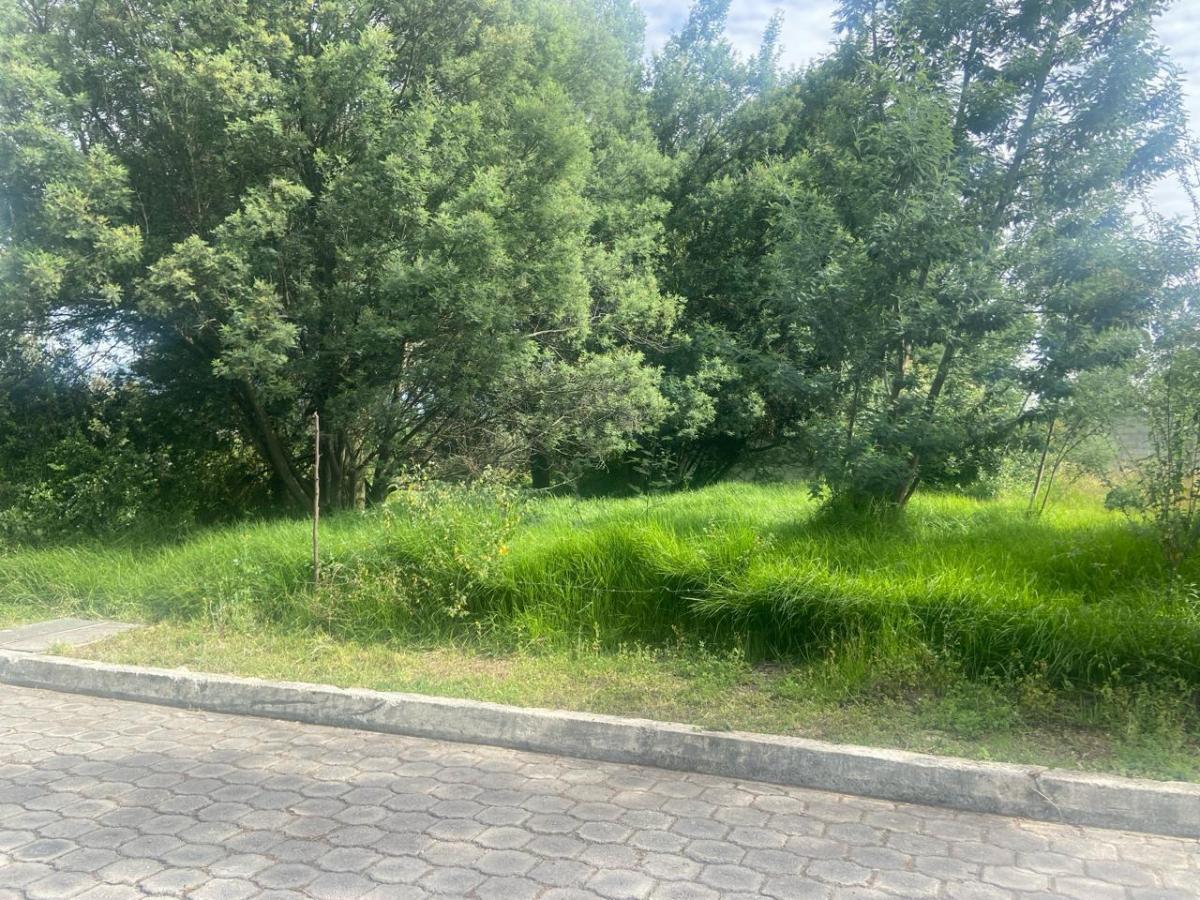 Terreno en Sangolqui Cerca Al Colibri — imagen 5