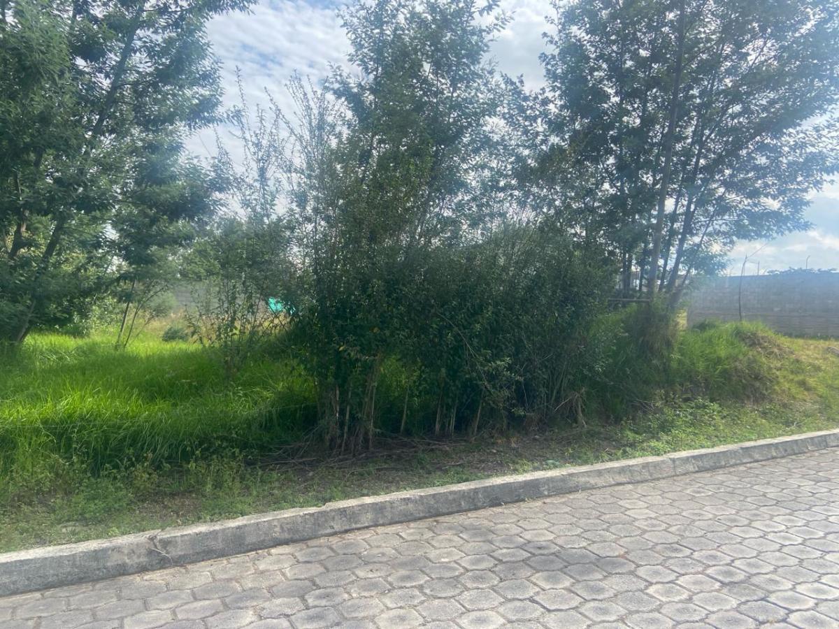 Terreno en Sangolqui Cerca Al Colibri — imagen 4