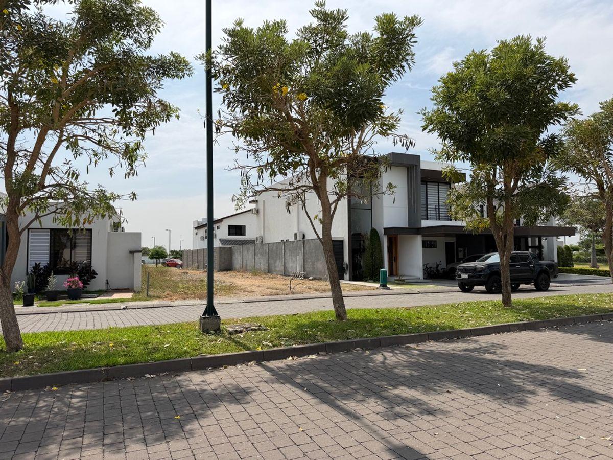 En Venta Terreno de 254,91 m² en Isla Celeste Etapa Estribor - Samborondon L. Torres, Guayas — imagen 7