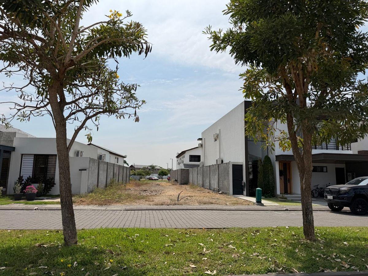 En Venta Terreno de 254,91 m² en Isla Celeste Etapa Estribor - Samborondon L. Torres, Guayas — imagen 6