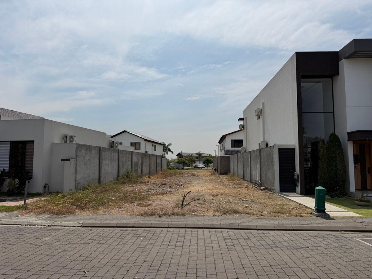 En Venta Terreno de 254,91 m² en Isla Celeste Etapa Estribor - Samborondon L. Torres, Guayas — imagen 5