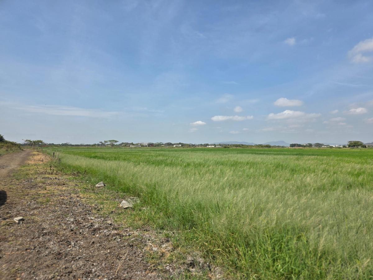 Vendo Terreno en El Buijo, Nuevo Samborondon, Esquinero, Guayas — imagen 7