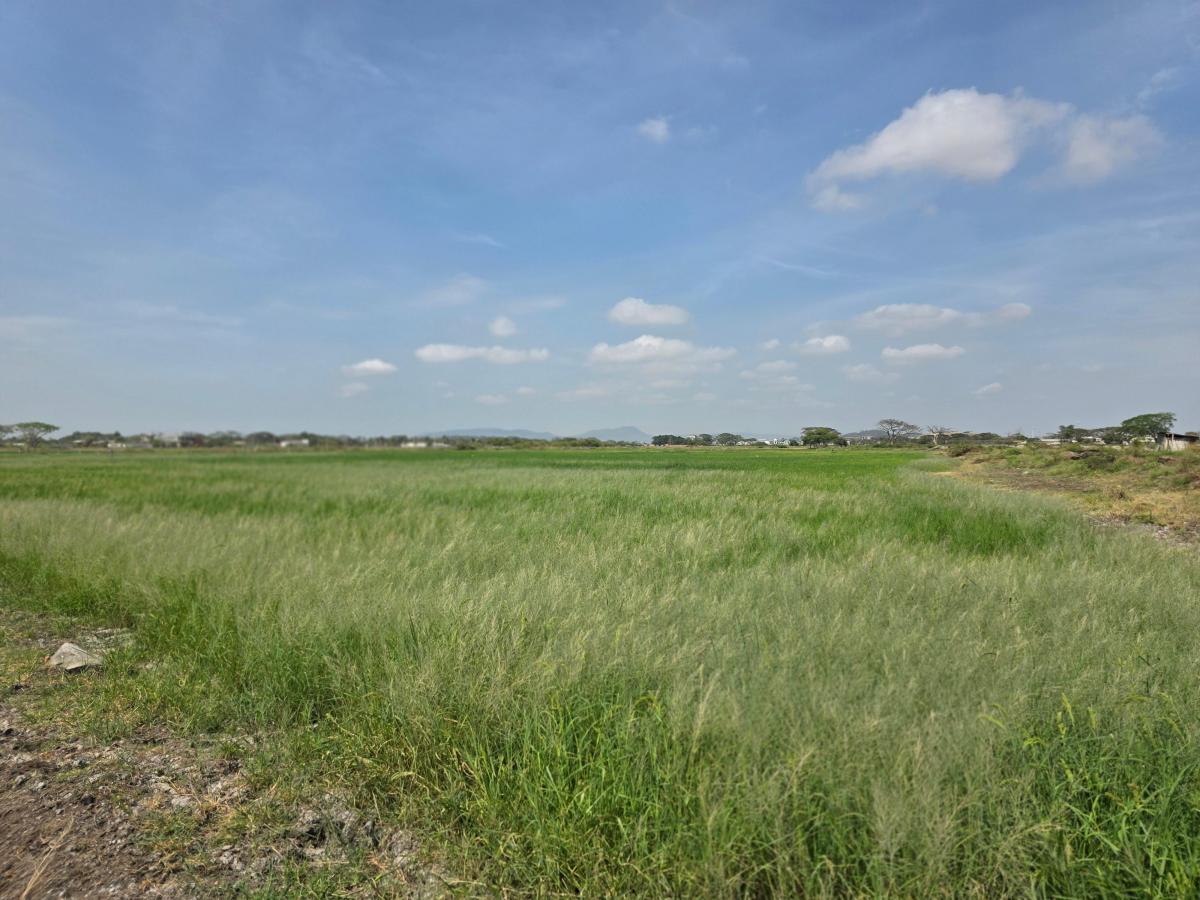 Vendo Terreno en El Buijo, Nuevo Samborondon, Esquinero, Guayas — imagen 6