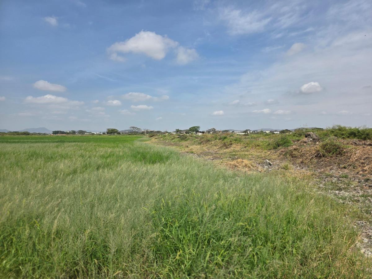 Vendo Terreno en El Buijo, Nuevo Samborondon, Esquinero, Guayas — imagen 3