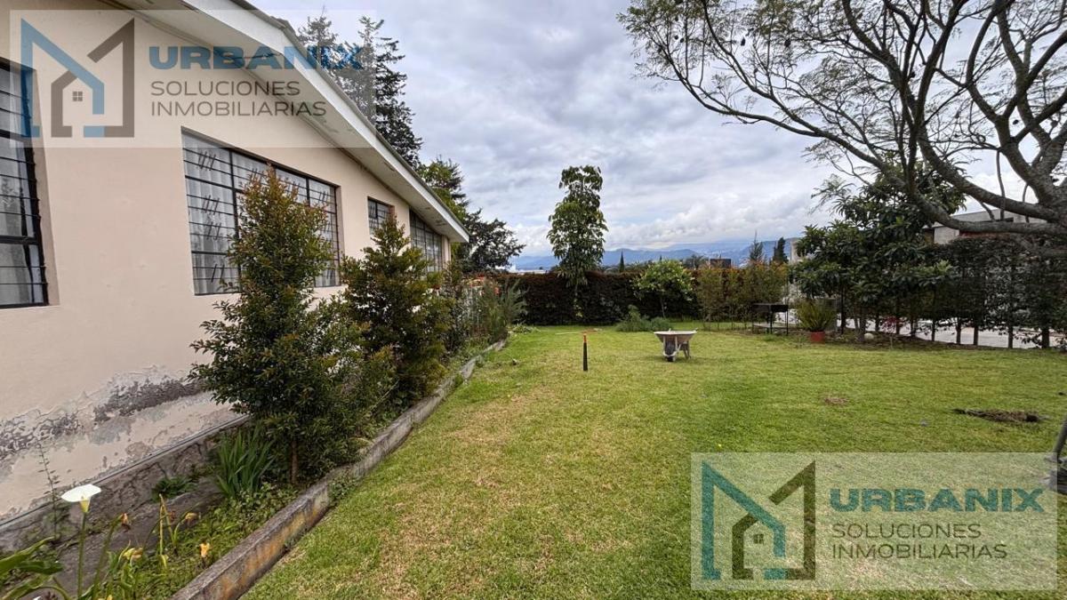Terreno en Puembo — imagen 8
