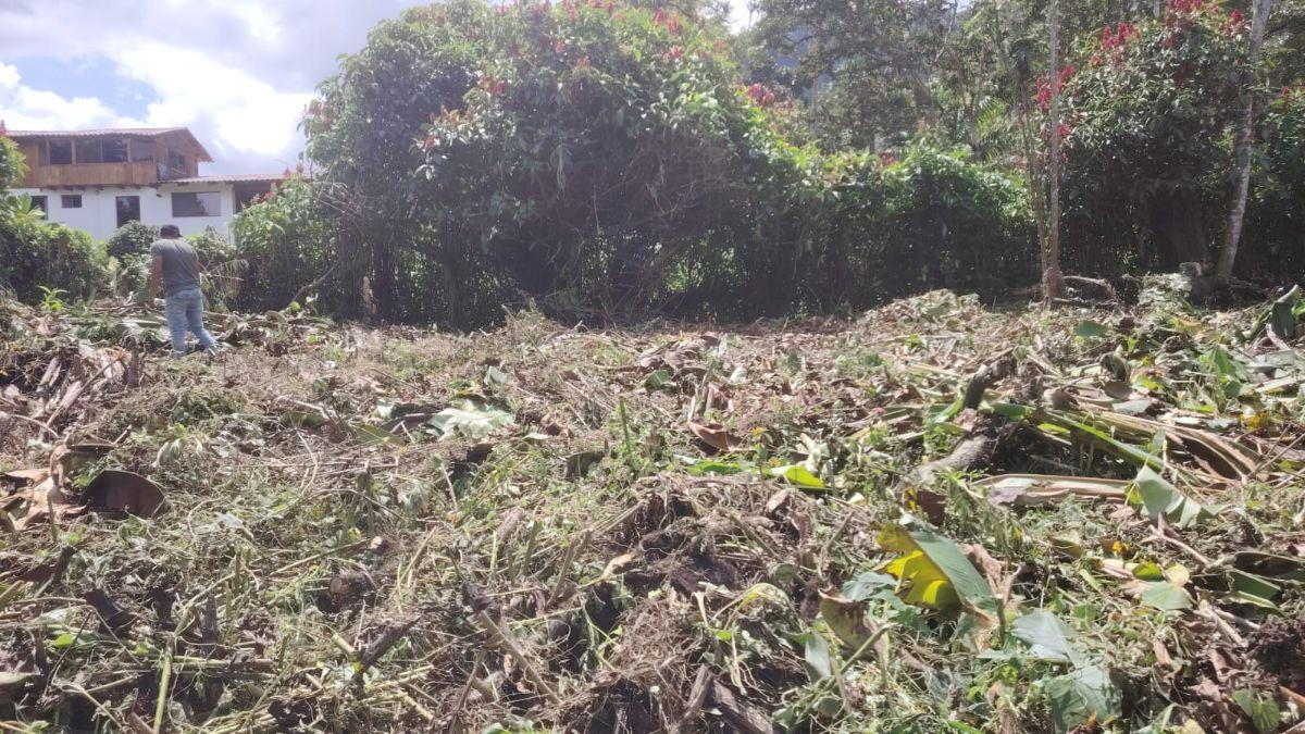 Venta de Terreno Mindo 2622 m² — imagen 6