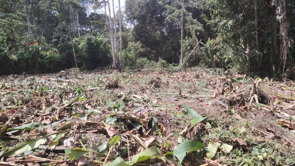 Venta de Terreno Mindo 2622 m² — imagen 5