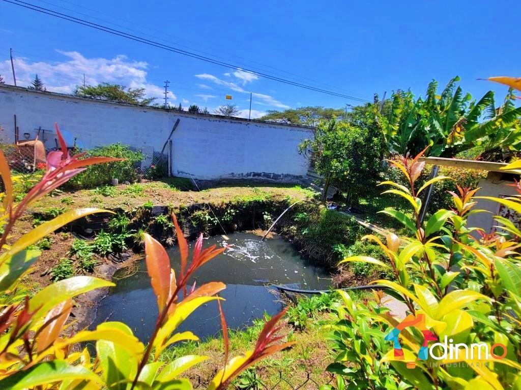Terreno Venta en Puembo 4255 m², Zona de Desarrollo y Plusvalia — imagen 8