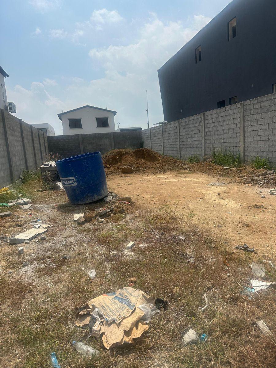 Exclusivo Terreno en Venta en Isla Celeste - Babor, Guayas — imagen 10