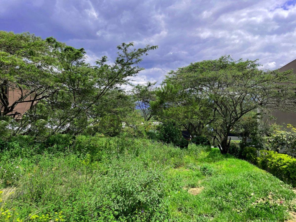 Hermoso Terreno de Venta en El Ingenio Puembo! Vista! — imagen 4