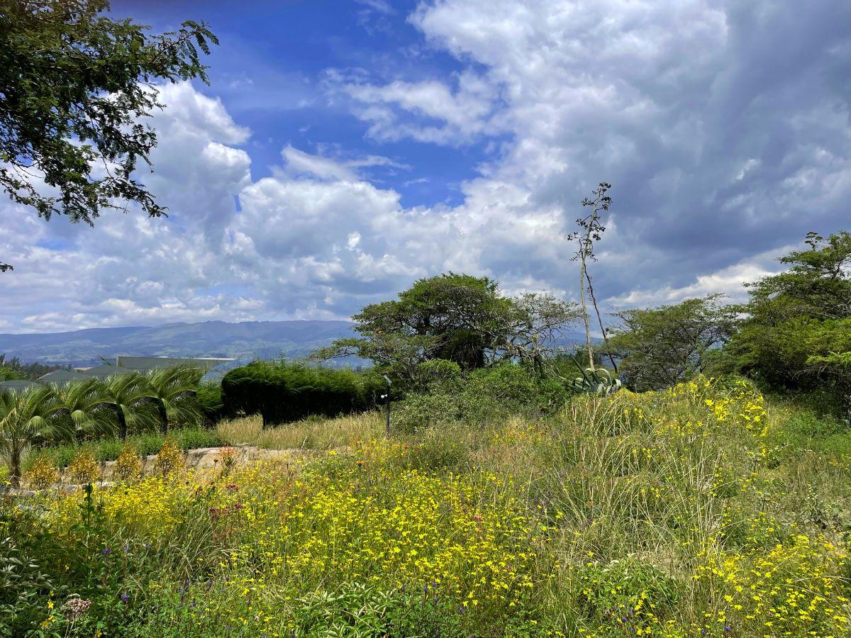 Hermoso Terreno de Venta en El Ingenio Puembo! Vista! — imagen 3