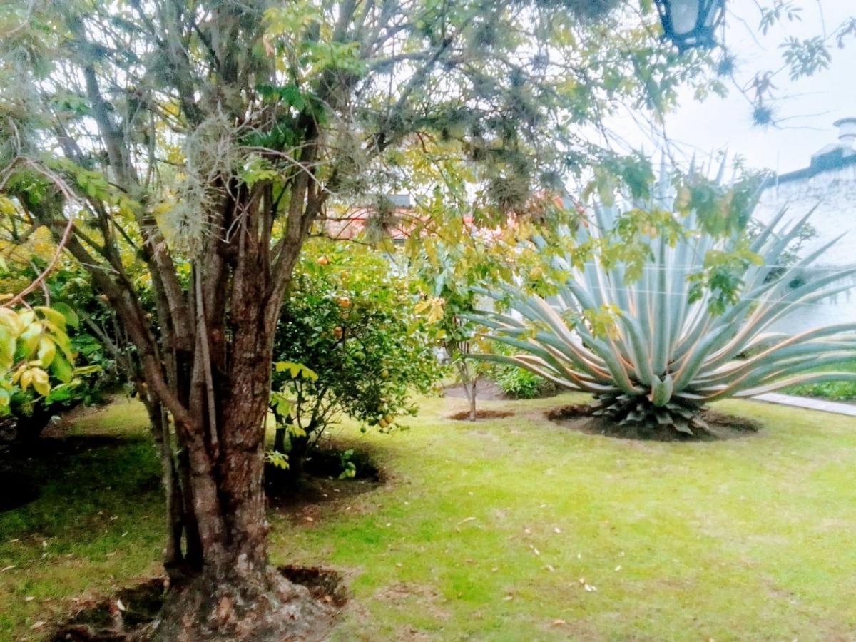 Casa Independiente La Primavera Ideal Para Negocio — imagen 10