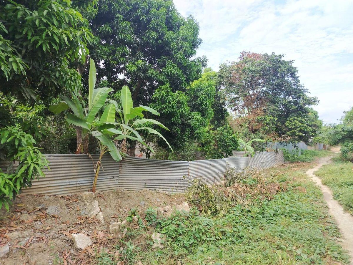 Terreno en Venta en Via Panamericana, Arenillas, El Oro — imagen 9