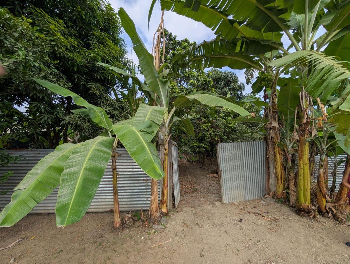Terreno en Venta en Via Panamericana, Arenillas, El Oro — imagen 7