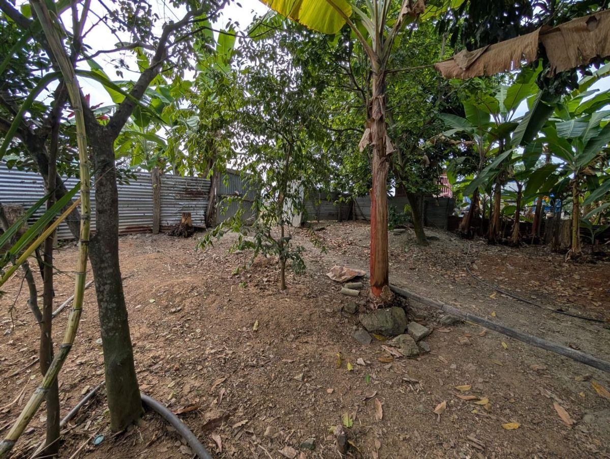 Terreno en Venta en Via Panamericana, Arenillas, El Oro — imagen 4