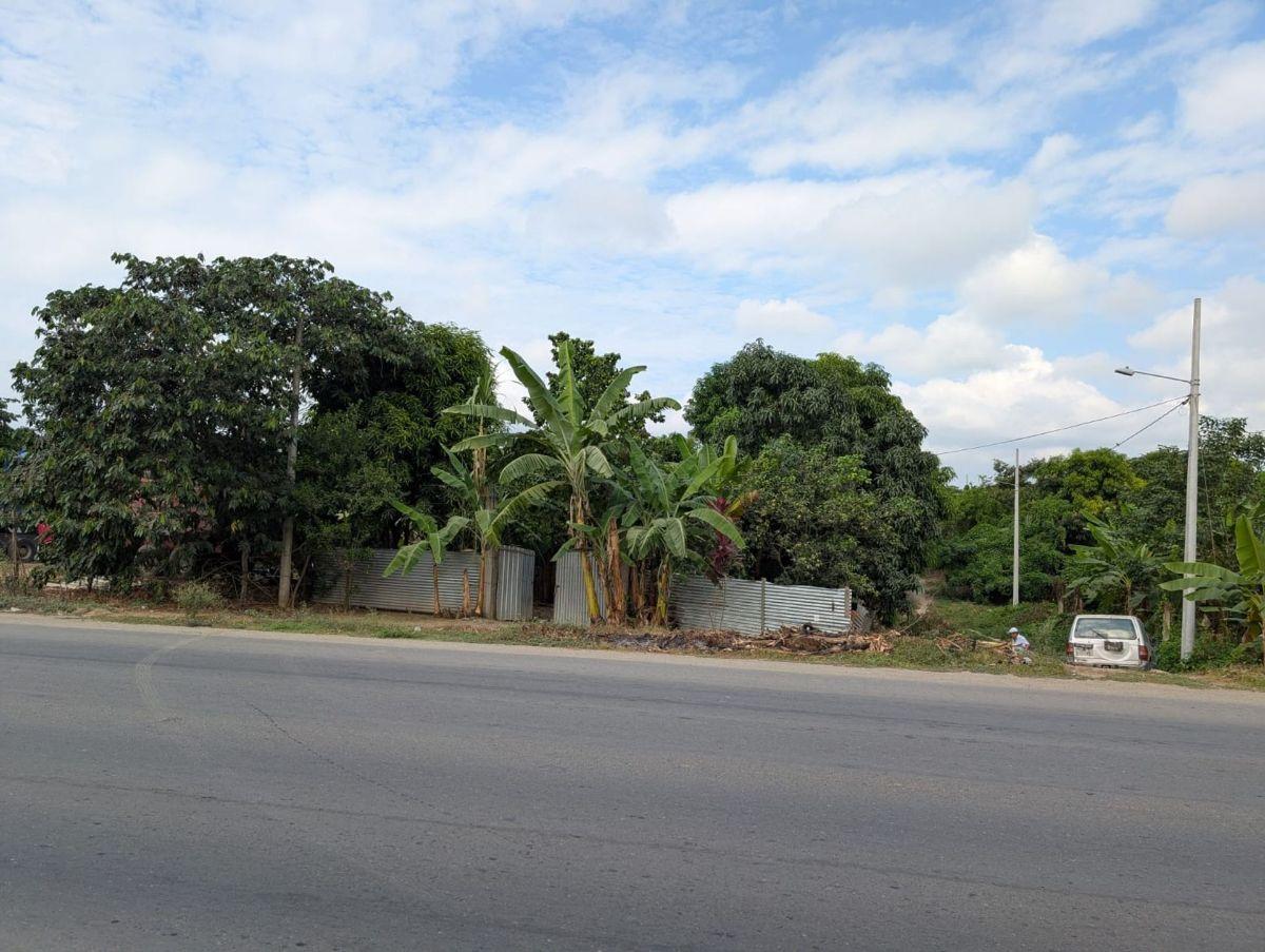 Terreno en Venta en Via Panamericana, Arenillas, El Oro — imagen 3