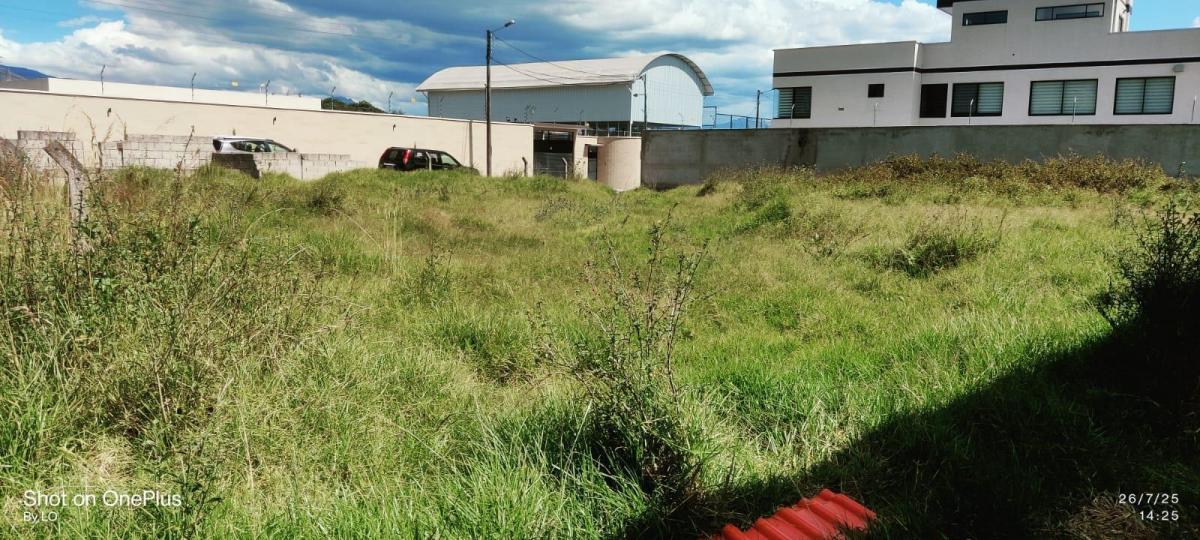 Vendo Terreno Dentro de Urbanización en El Sector de Chaupi Molino — imagen 10