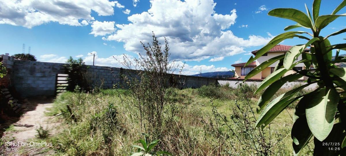 Vendo Terreno Dentro de Urbanización en El Sector de Chaupi Molino — imagen 8