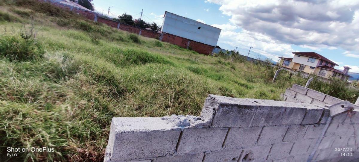 Vendo Terreno Dentro de Urbanización en El Sector de Chaupi Molino — imagen 6
