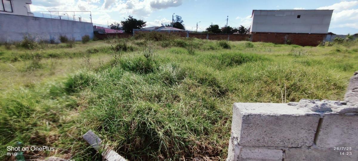 Vendo Terreno Dentro de Urbanización en El Sector de Chaupi Molino — imagen 5