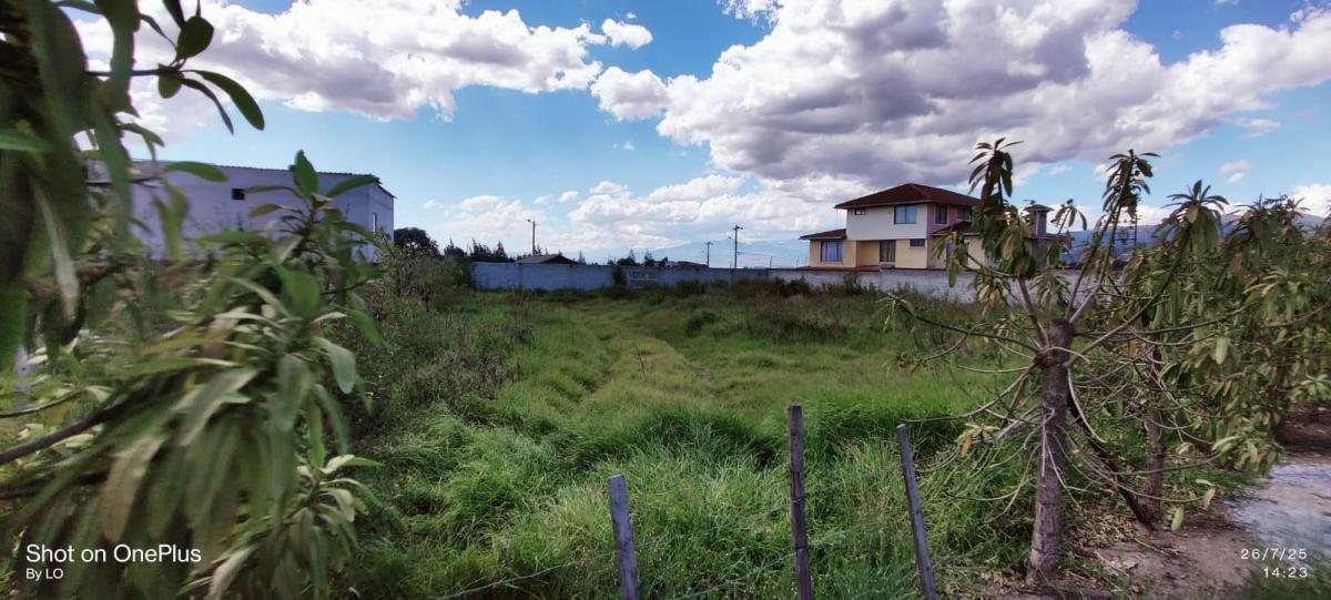 Vendo Terreno Dentro de Urbanización en El Sector de Chaupi Molino — imagen 4