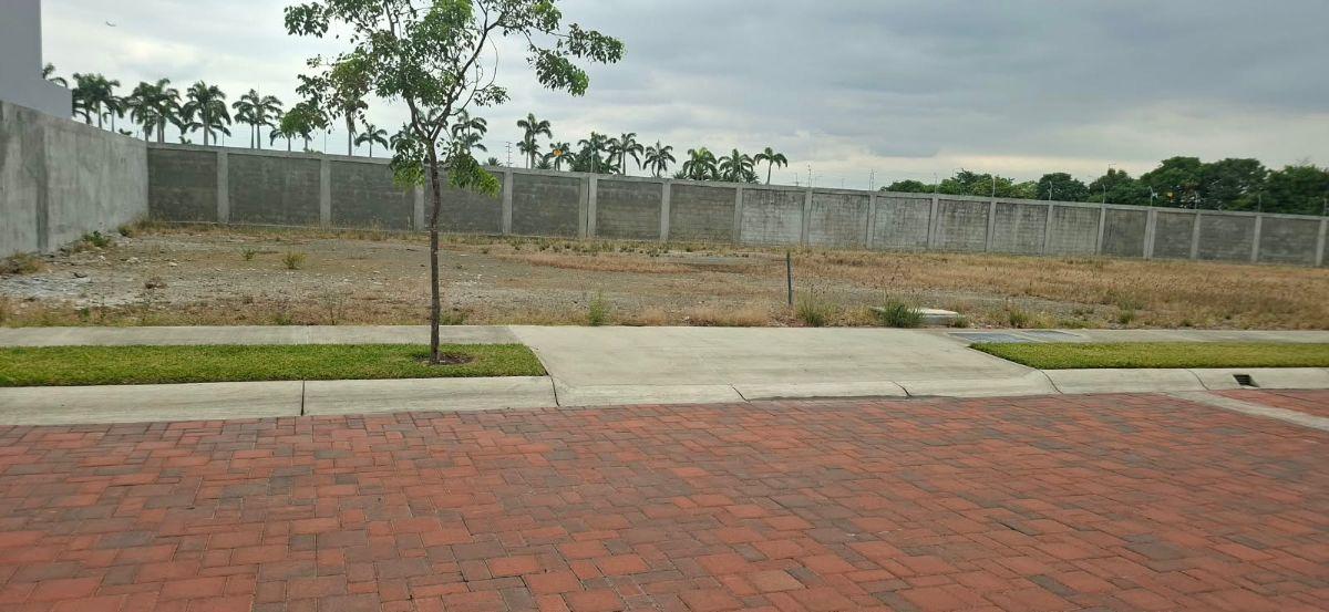 Terreno Punta Barranca | Venta, Guayas — imagen 6