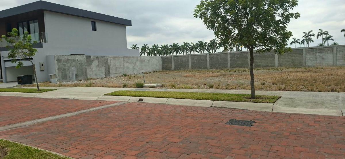 Terreno Punta Barranca | Venta, Guayas — imagen 4