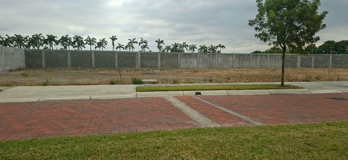 Terreno Punta Barranca | Venta, Guayas — imagen 3