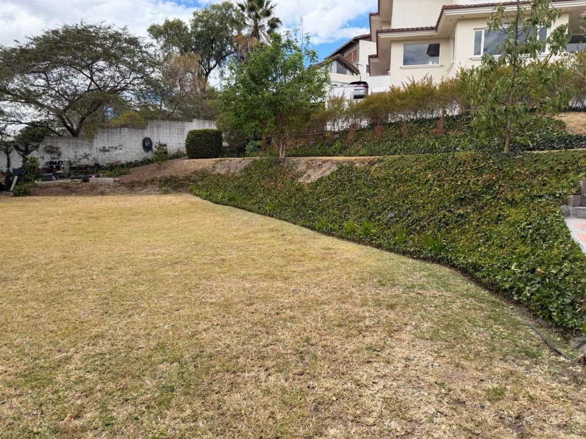 Terreno con Dph de 640 m² en Venta en Tumbaco Proyecto Aprobado Para Casa de 280 m Urb. Algarrobos — imagen 4