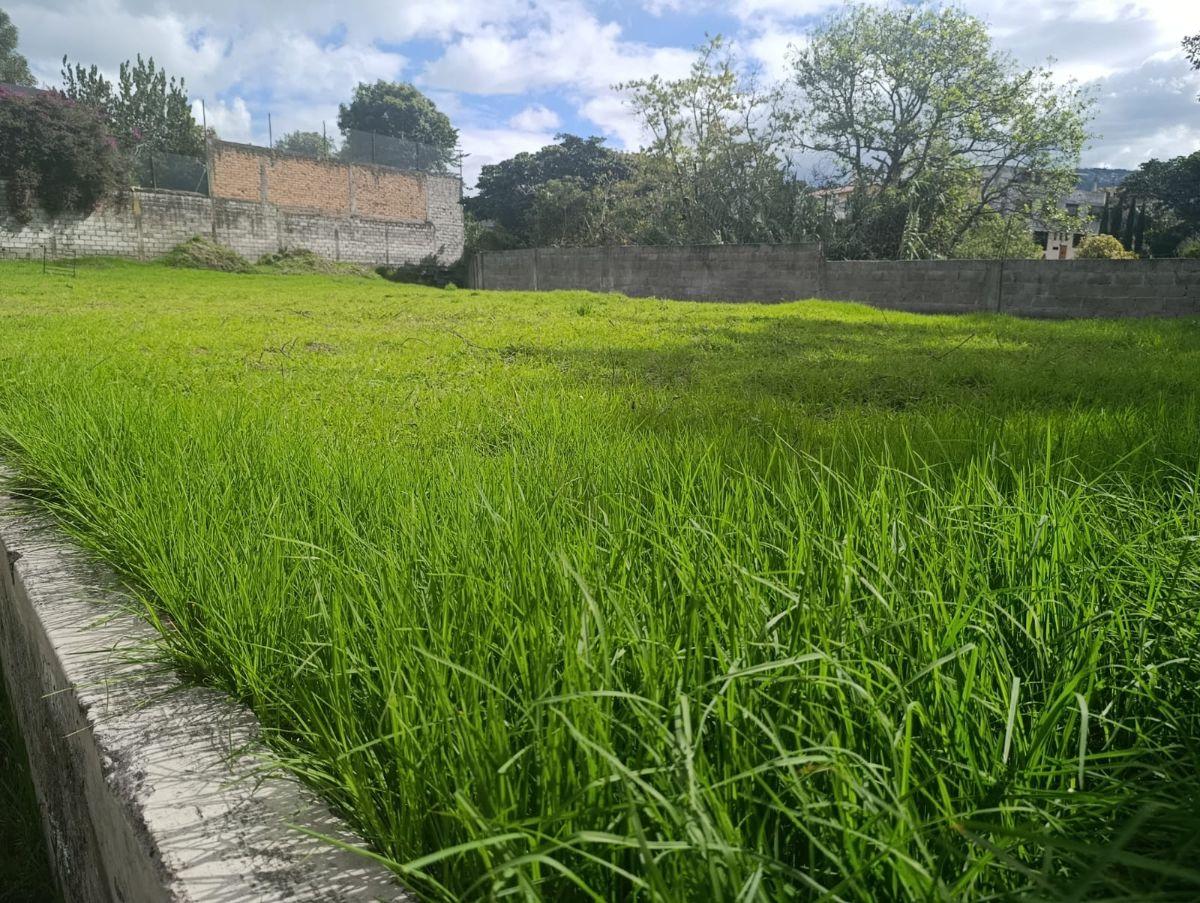 Terreno en Venta en Conocoto — imagen 10
