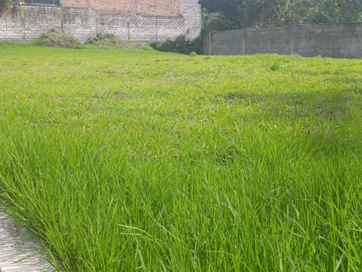 Terreno en Venta en Conocoto — imagen 9