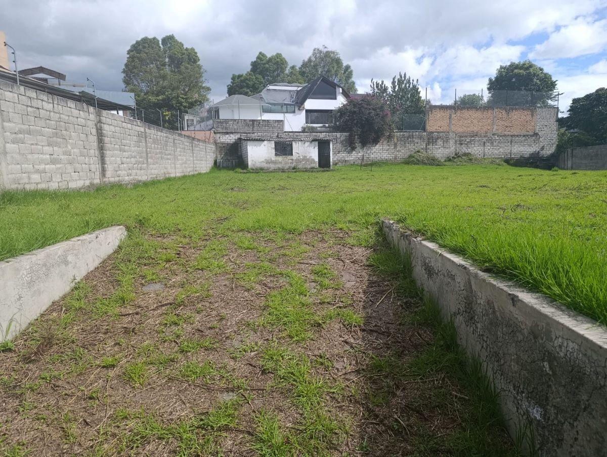 Terreno en Venta en Conocoto — imagen 8