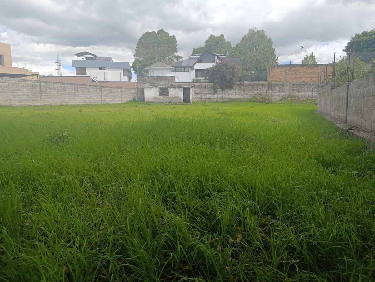 Terreno en Venta en Conocoto — imagen 7