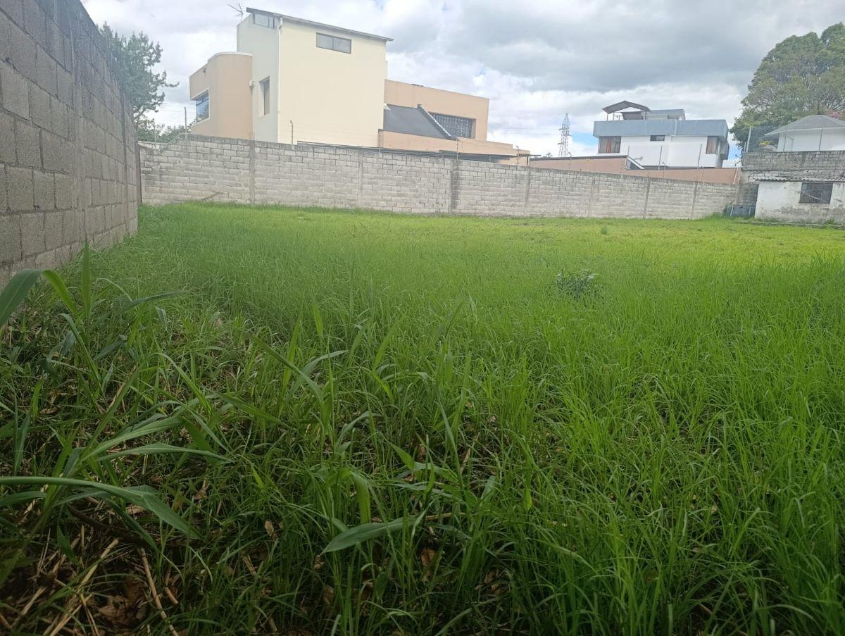 Terreno en Venta en Conocoto — imagen 6