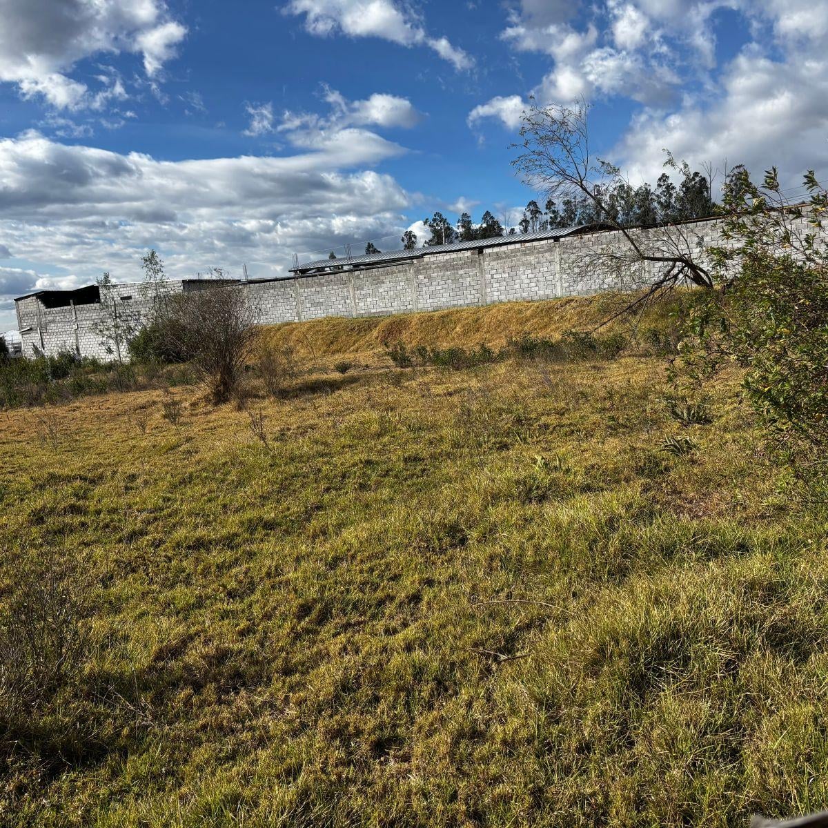 Vendo Terreno de 200 m² en Pifo - Derechos y Acciones — imagen 10